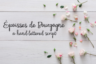 PN Époisses De Bourgogne: A Bouncy Script Font for Digital Charm